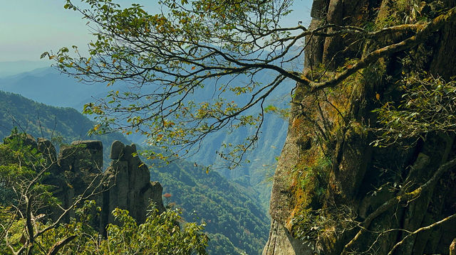 不負韶華去旅行 羊獅慕風景區