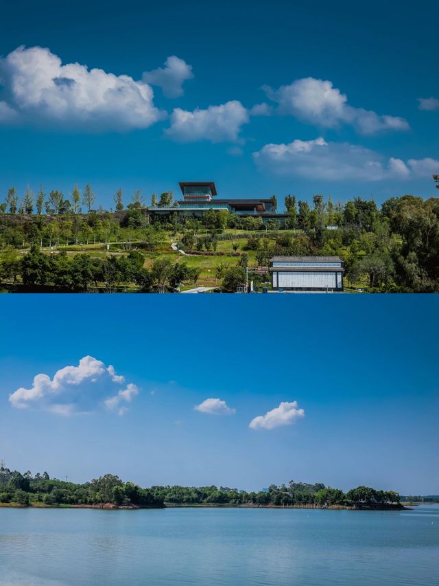 來成都看海