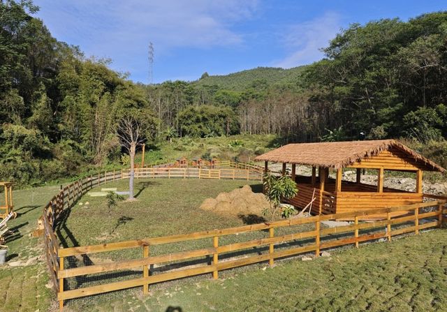 惠州悠居谷也·山野私汤民宿