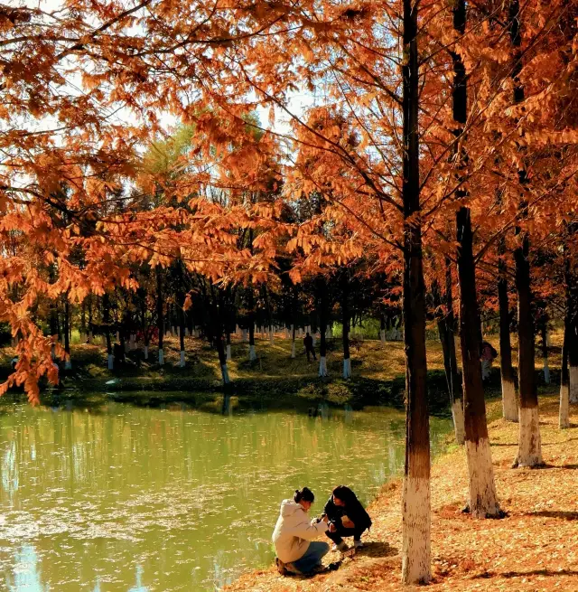 西安的秋天，這個地方美成一幅油畫
