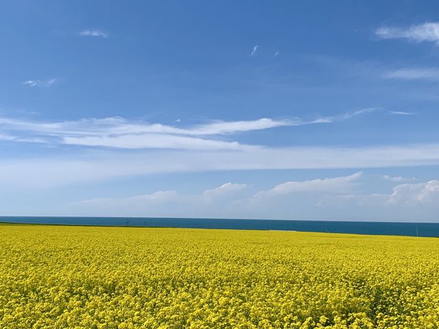 青甘大環線包車7日遊。