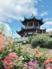 徒步登山不費腳｜深圳小瑞士機位原來在這裡
