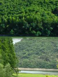 瘋傳朋友圈的神秘仙境！竟然藏在浙江，不是新疆！