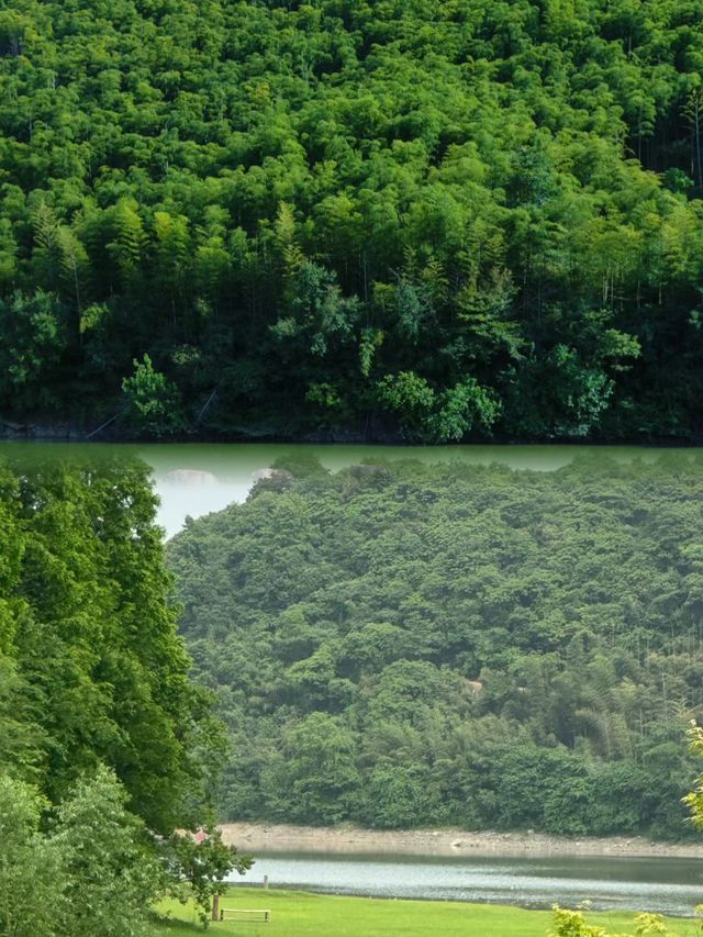 瘋傳朋友圈的神秘仙境！竟然藏在浙江，不是新疆！