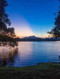 🌟✈️ Dambulla Dreams: Discover Sri Lanka's Amaya Signature! 🏨🌴