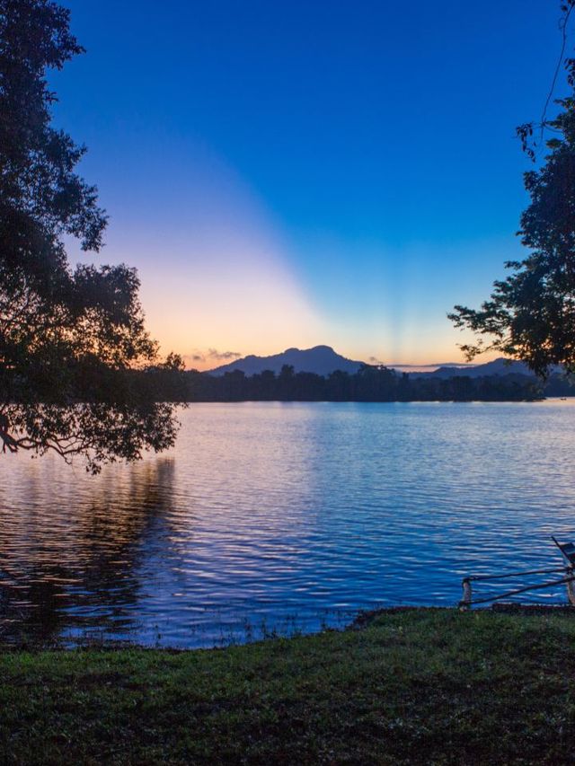 🌟✈️ Dambulla Dreams: Discover Sri Lanka's Amaya Signature! 🏨🌴