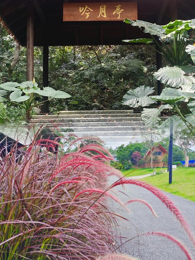 逃離喧囂，擁抱自然：南寧高峰森林公園的完美一日遊