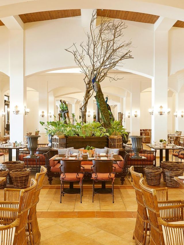 🌟🏖️ Unwind in Greece: Top Stay at Grecotel Olympia Oasis! 🏨✨