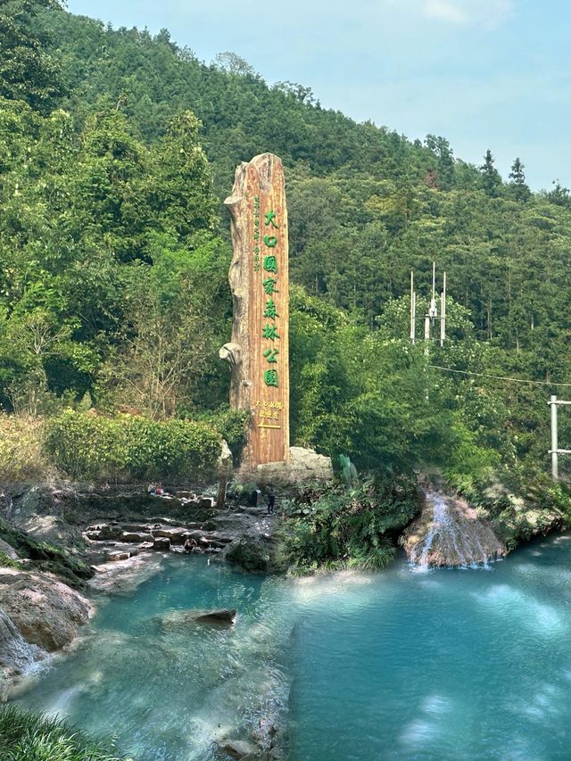 【藍寶石之夢：鐘祥大口國家森林公園】夏日避暑全攻略