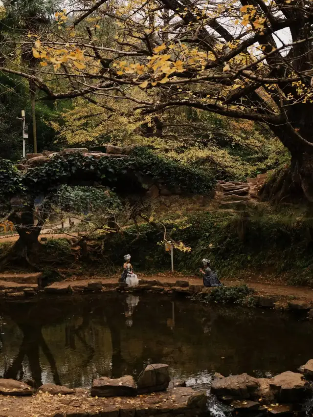 貴州 | 避暑勝地妥樂村