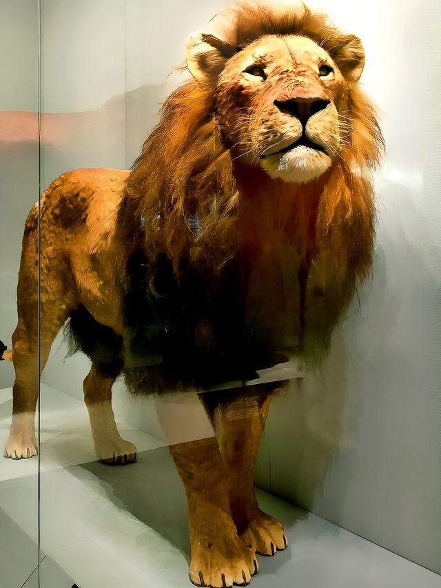 中國古動物館：穿越億年，邂逅地球遠古霸主！