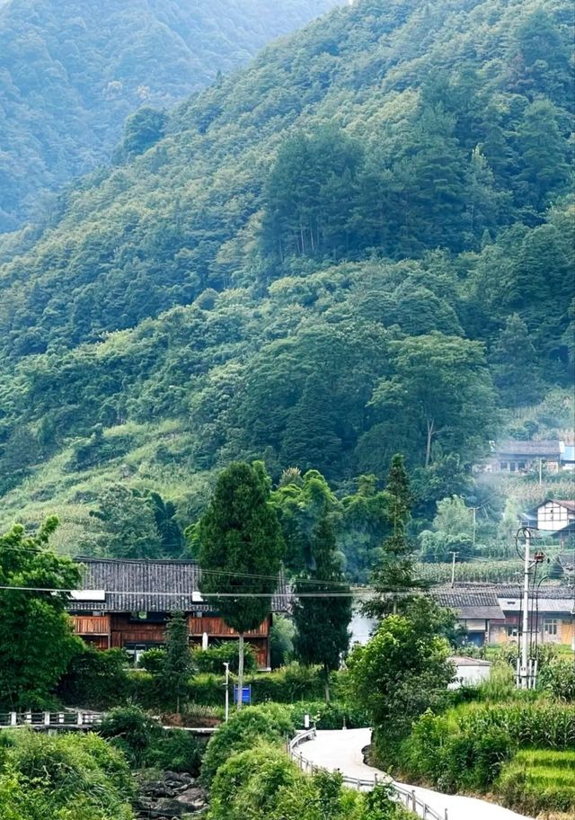 這裡真的很適合家庭避暑遛娃和想去放空自己的~