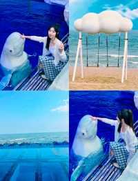 不來一次樂島!就算白過這個夏天