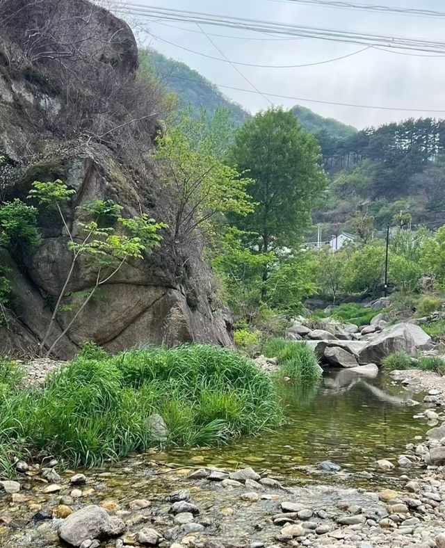 隱藏在深山裡的寶藏民宿！！