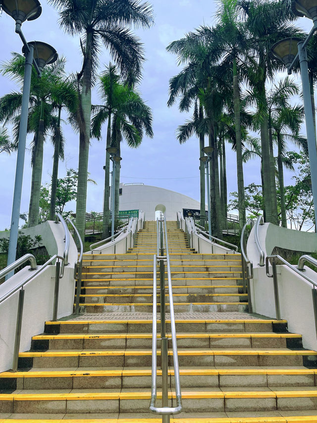大埔半日遊路線人煙稀少舒服寧靜衝