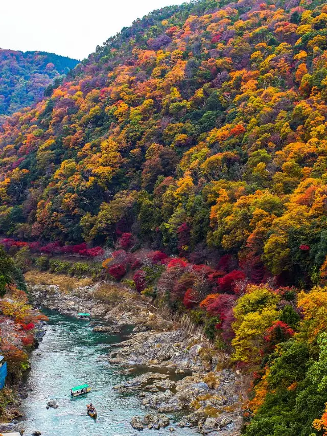 🚂🎢 Kyoto's Family-Friendly Fun: Museums, Aquariums & Parks! 🐬🌳