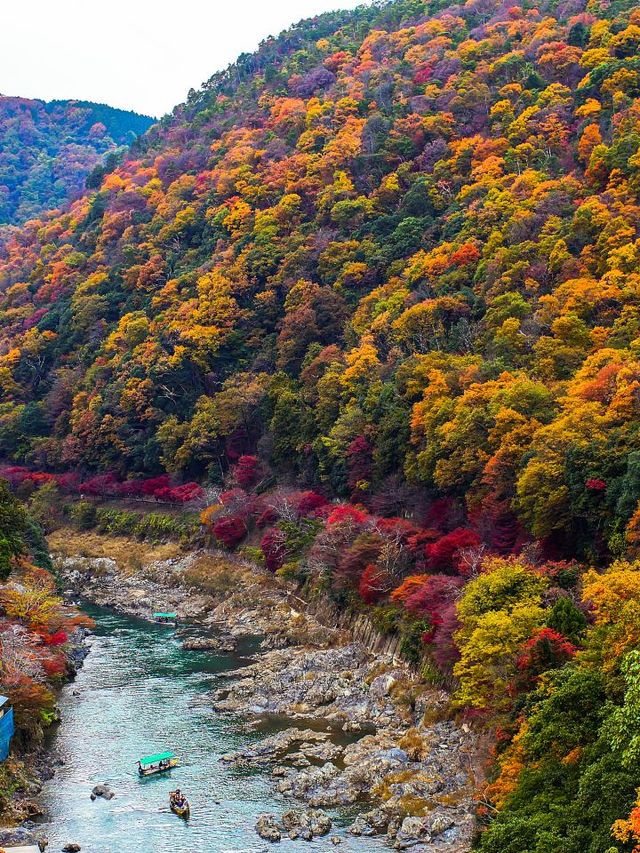 🚂🎢 Kyoto's Family-Friendly Fun: Museums, Aquariums & Parks! 🐬🌳