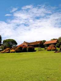 🌟 Kenya's Hidden Gem: Aberdare Country Club 🦒🏞️