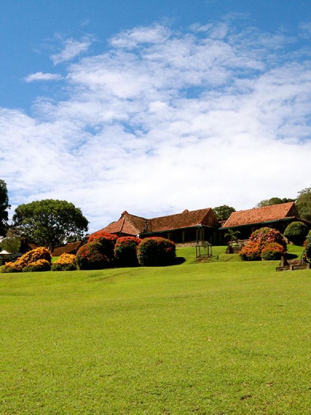 🌟 Kenya's Hidden Gem: Aberdare Country Club 🦒🏞️