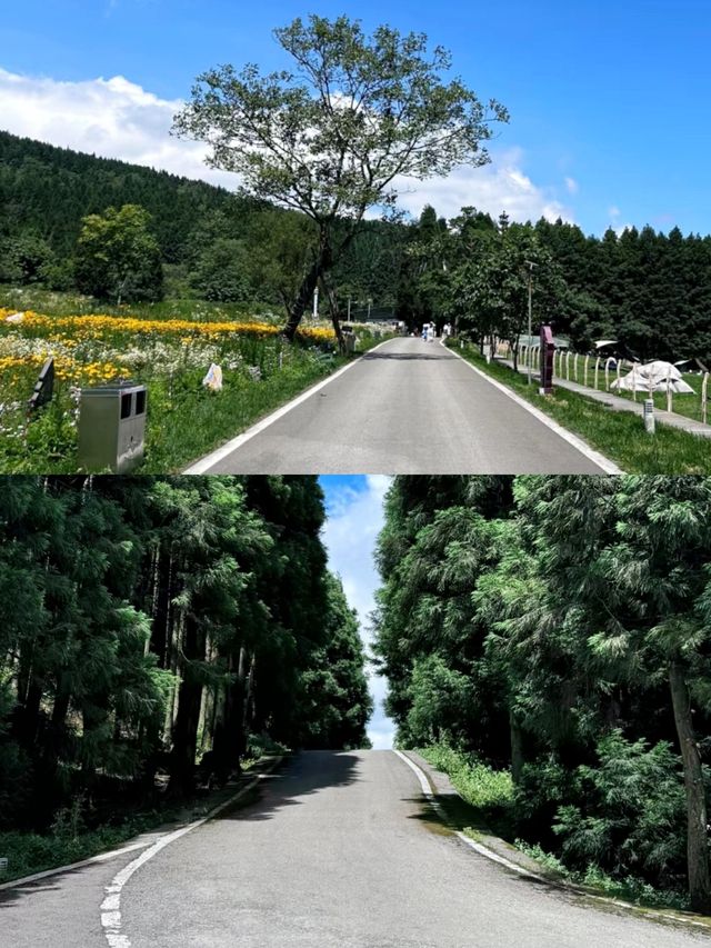 重慶!居然還有這麼美的地方