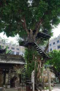 深圳高顏值小眾免費博物館，趁它爆火前快去