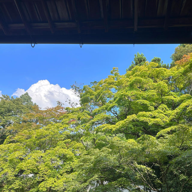 在南禅寺我躺平了！！