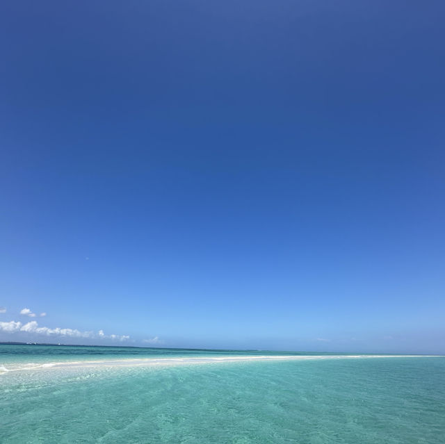 Enchantment in Zanzibar 