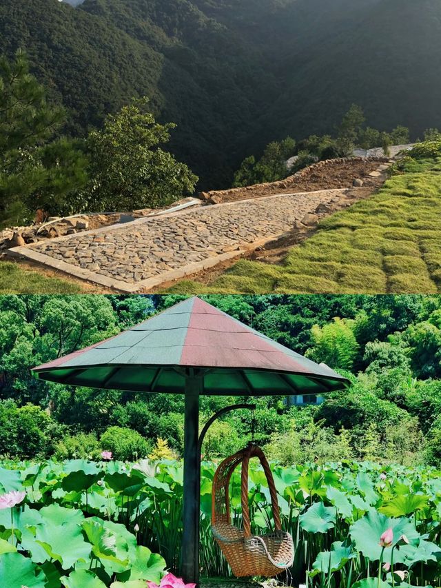 【打卡三門網紅拍照地]浙江台州-棲心谷