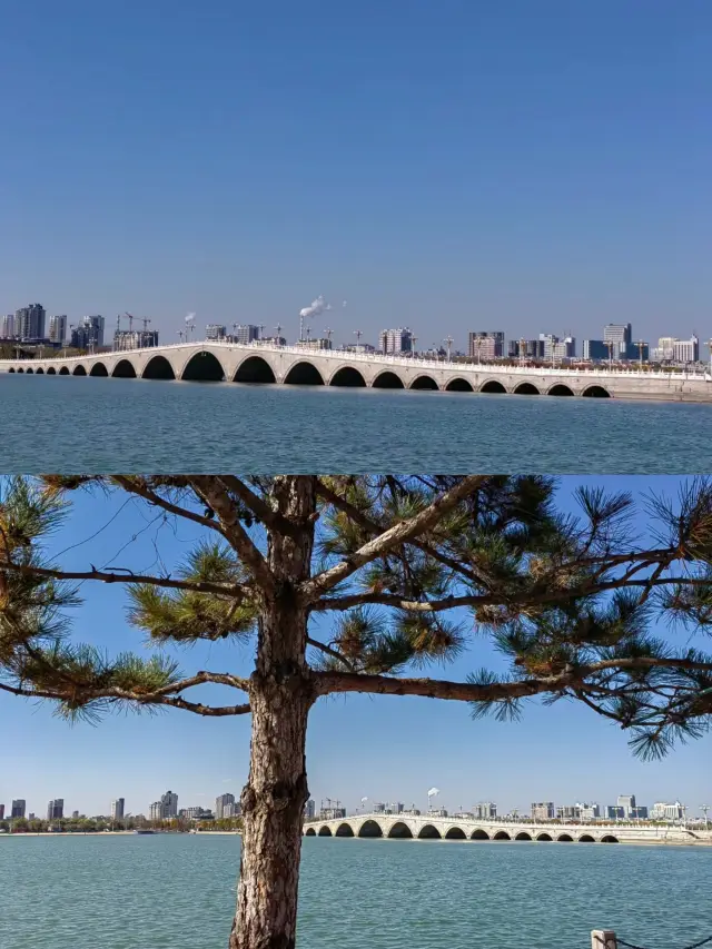 Water City, Ancient Canal Capital--Liaocheng