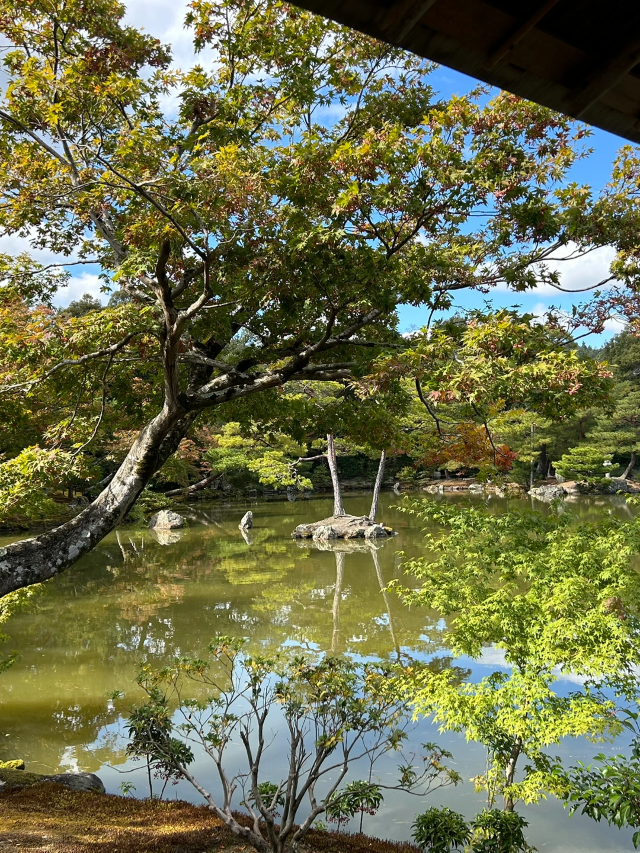 日本7天深度游 超詳細攻略來襲