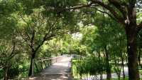 深圳向日葵公園·青綠&清幽。