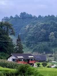 在重慶人間仙境滿眼盡是青翠——習水梧桐山山林裡的民宿。
