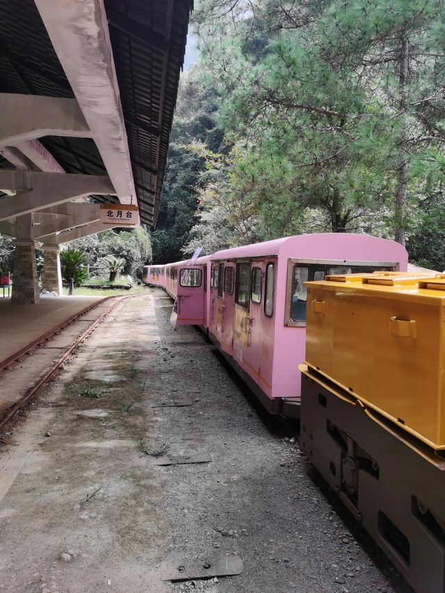 麗水金礦山公園丨黃金之旅。