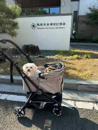 天目湖 WEI 酒店。