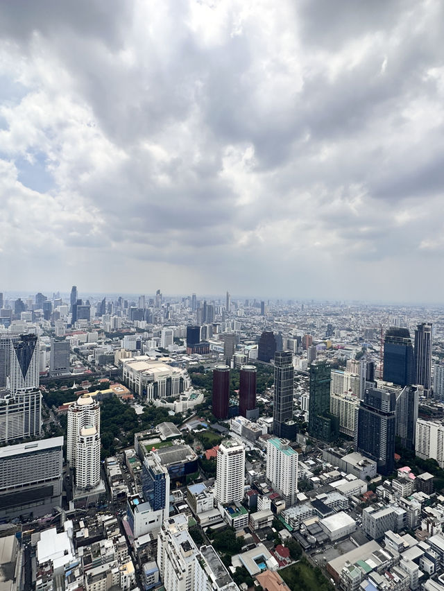 A Birds Eye view of Bangkok, a sprawling metropolis 