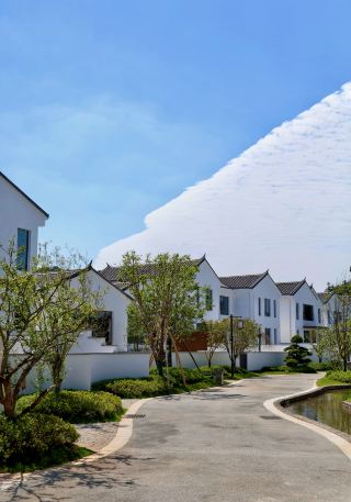 Xinyu Boxin Yunshu Qixi Island, the best resort hotel in Fairy Lake! 