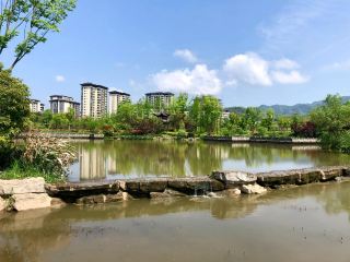 Chongqing Liangping District | Shuanggui Lake National Wetland Park | A great place to take photos with your kids. 