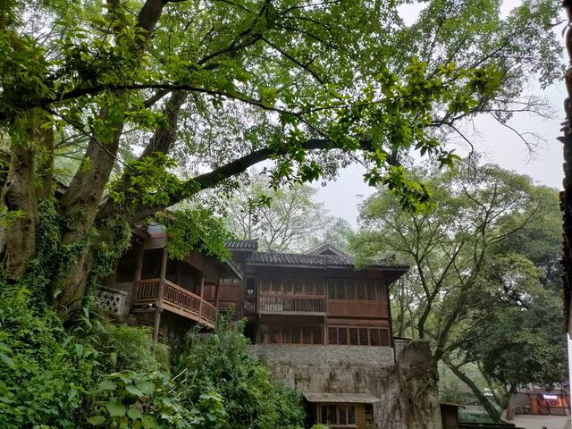 隱世重慶  金剛碑村。