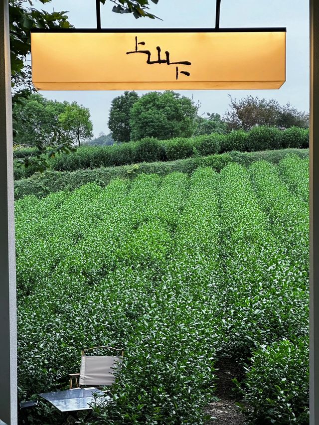 嘉興豐義景區丨人生需要走走停停。