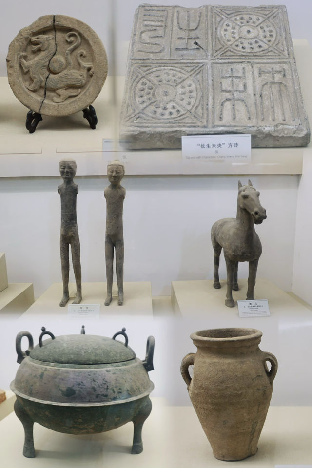 趕上夕陽的尾巴，欣賞粉黛花海。