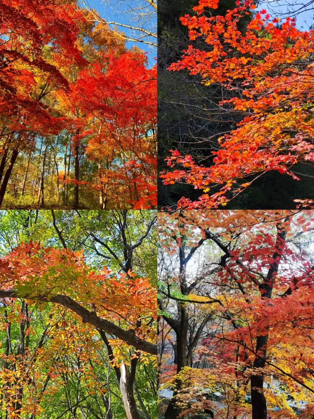 ชื่นชมกันสักหน่อย