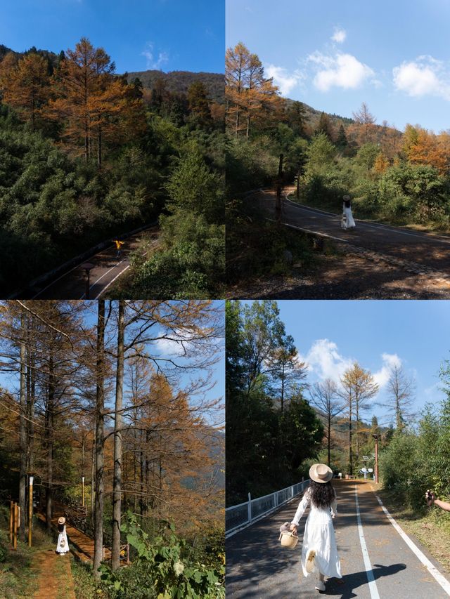 接下來的浙江堪稱秋日旅遊天花板！