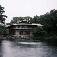 🌸 名古屋德川園：靜謐之美的歷史庭園 🏯🌿