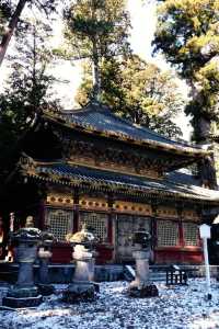 Explore Nikko in a Day with Tobu Pass