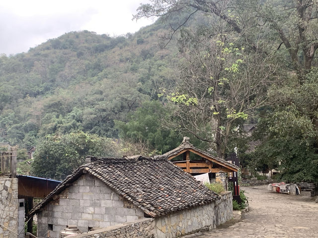 爸爸去哪兒一雨補魯天坑。