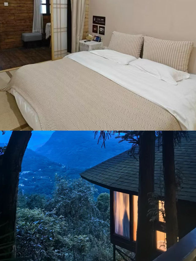 幽靜深山住宿，避世好去處，卡莎莎樹屋民宿～。