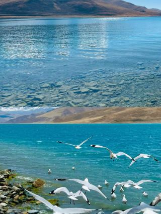 Yamdrok Lake is really next level... It's so beautiful that it doesn't seem real!