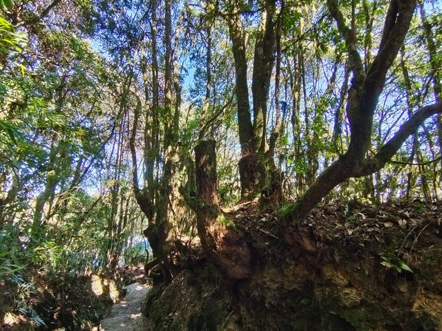 靈寶山國家森林公園。