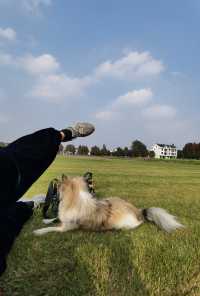 廊下郊野公園。