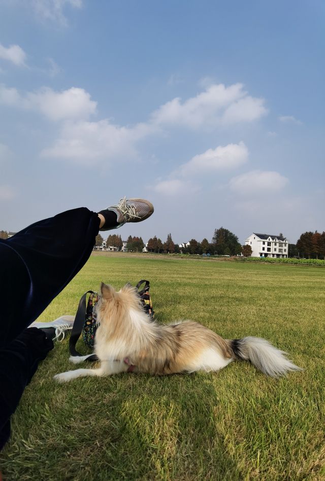 廊下郊野公園。